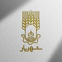 طراحی لوگو و لوگو تایپ تخصصی