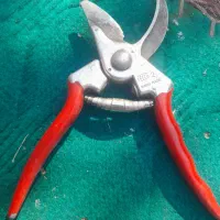 قیچی فیلکو ۲|ابزارآلات|نالوس, |دیوار