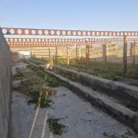 گاوداری صنعتی ۲۰۰۰ متر در چادگان