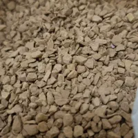 قهوه عربی اصلی(گُلد)