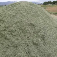 یونجه درجه 1|خدمات باغبانی و درختکاری|دهگلان, |دیوار