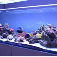 اکواریو عمده و جزئی با پایین ترین قیمت