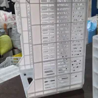 فروش سبد ۲۰ کیلویی|ظروف نگهدارنده، پلاستیکی، یکبارمصرف|بابل, |دیوار