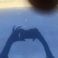 111مدل 90|خودرو سواری و وانت|مشهد, مهدی آباد|دیوار