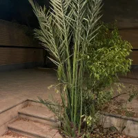 اجاره یک واحد آپارتمان تک خوابه|اجارهٔ آپارتمان|اصفهان, خواجه عمید|دیوار