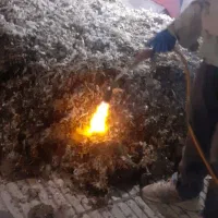 کودبارسبزوار