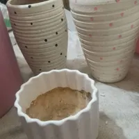چندعدد گلدان|صنایع دستی و سایر لوازم تزئینی|رشت, نیروی دریایی|دیوار