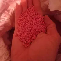 بذر گندم شیشە یا شوشە اصلی دیم