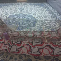 قفس یک متری