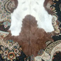 پوست بز|کلکسیون و سرگرمی|سنقر, |دیوار