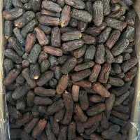 خرما پیارم|خوردنی و آشامیدنی|تهران, مولوی|دیوار