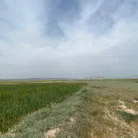 فروش جو تناژ بالا