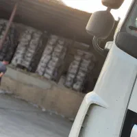 استخدام سکو دار سردخانه