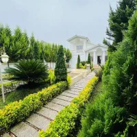 فروش-400متر-نیم-پیلوت-نمارومی-جنگلی-نزدیک-دریاچه