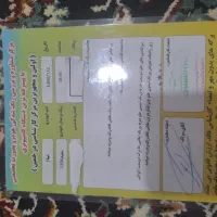 تیبا صندوق دار ۹۸|خودرو سواری و وانت|صباشهر, |دیوار