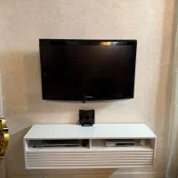 تلوزیون