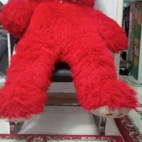 دو عدد عروسک خرسی