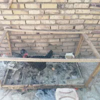 قفس مرغ و کفتر