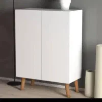 انواع جاکفشی امدیف