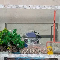 آکواریوم با تمام وسایل|ماهی|مراغه, |دیوار