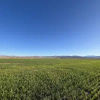 280-متر-سه-نبش-دو-معبر-ابتدای-صیاد-شیرازی