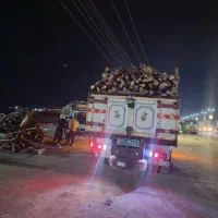 خرید انواع چوب ترو خشک سقفی ذغالی|خدمات باغبانی و درختکاری|خانمیرزا, |دیوار