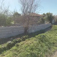 186 متر زمین سه راه شفت