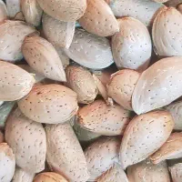 بادام تلخ