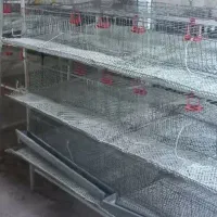 قفس بلدرچین