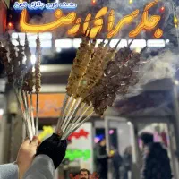 شاطر ماهر