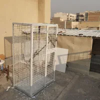 قفس گنجه کبوتر یا ...