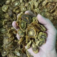 کیوی خشک آجیلی ارگانیک