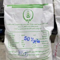 بذر کلزا هایولا ۵۰|گل و گیاه طبیعی|پارس‌آباد, |دیوار