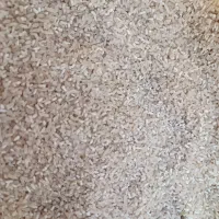 برنج لاشه پشت برنجی  لاشه  نیم دانه|خوردنی و آشامیدنی|گرگان, |دیوار