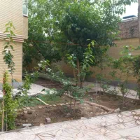 طبقه 55 متر در آخونی (ورزش شریفی