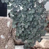 ۲عدرخت گل مصنوعی