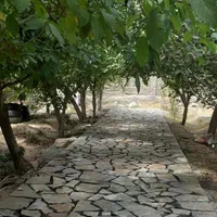 سنگ کاری|خدمات پیشه و مهارت|نیشابور, کشتارگاه|دیوار