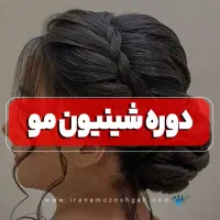 کلاس شنیون