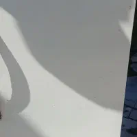 فریزر ایرانی