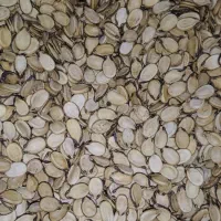 فروش تخمه هندوانه آجیلی (محبوبی)