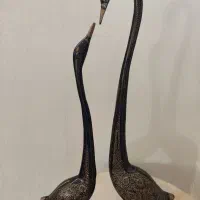 قو برنجی ارتفاع ۶۱-۵۱