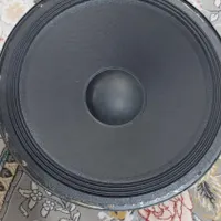 میدرنج ۱۲ اینچ