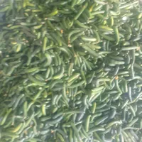 ویژه فیت دار نهاوندی تازه وریز قیمت مناسب|خوردنی و آشامیدنی|تهران, افسریه|دیوار