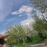 اجاره روزانه باغ ویلا نزدیک شیراز