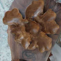 میز مزه ظروف چوبی روستیک