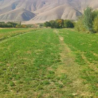 ۲۰۰۰متر زمین روستای توده زن
