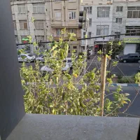 استاد-معین-دامپزشکی-فرهنگیان-شمالی80-متر-اجاره