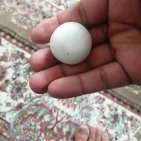 5عدد سنگ الماس اسیاب با سختی 10