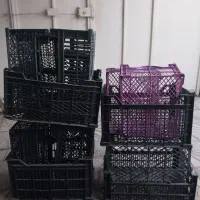 تعدادی سبد میوه و...