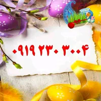 0913.614.3004|سیم‌کارت|اصفهان, تیران|دیوار